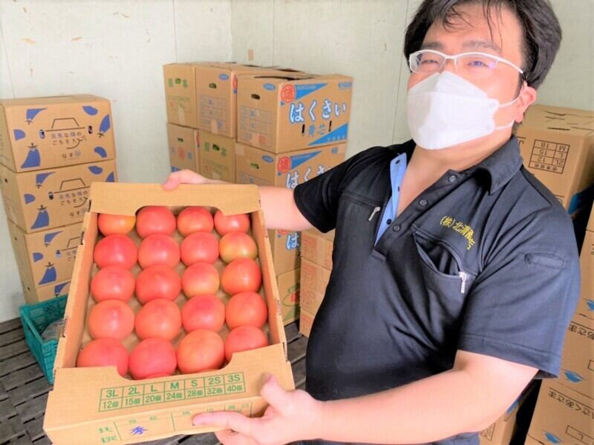 未経験でも高年収スタート★野菜の仕分け/市場内の配送!定着◎-2番目の画像
