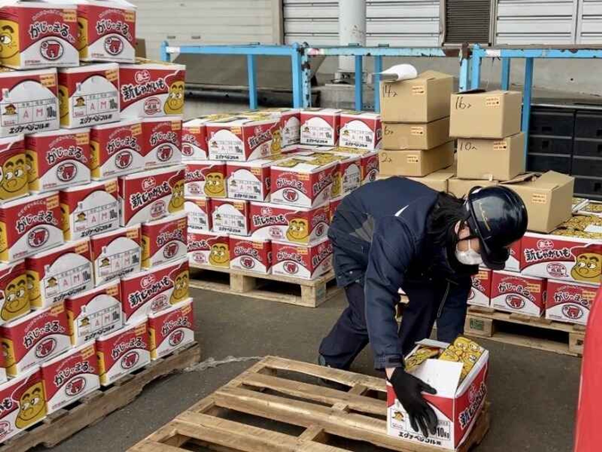 【未経験OK】イオンなど大手と取引*野菜果物の倉庫作業/賞与2回の4枚目の画像